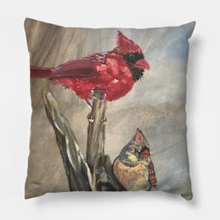 Cardinals Pillow