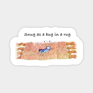 Snug as a Bug in a Rug Magnet