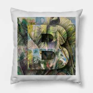 Letter B Pillow