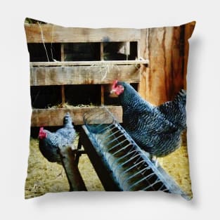 Chickens - In the Chicken Coop Pillow