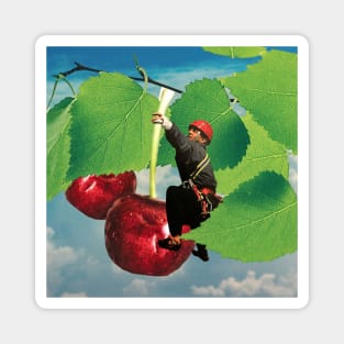 Cherry Picking Magnet