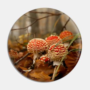 Toadstools in the Woods Pin