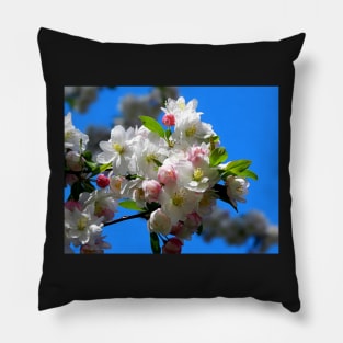 Blossoms Pillow