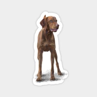 The Hungarian Vizsla Magnet