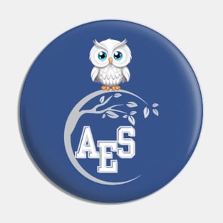 AES corner logo Pin