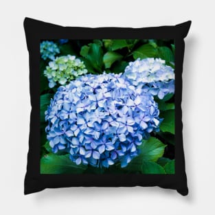 Flowering Hydrangea Shrubs Pillow