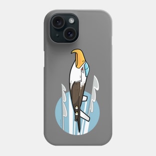 Eagle Fighter Plane Phone Case