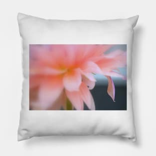 Petal(s) Pillow