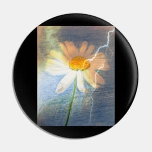 Daisy Pin