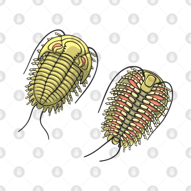 Colored Trilobite Illustration by taylorcustom