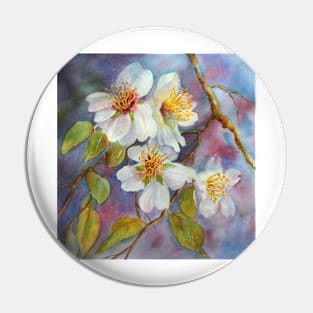 Blossom Time  (early spring) Pin