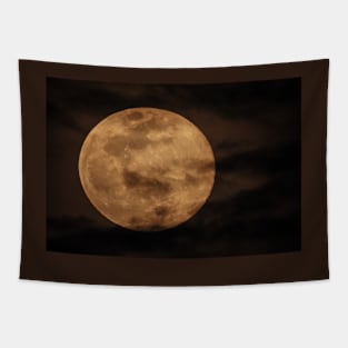 Pink Moon Tapestry