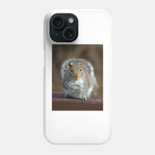 Stored Nuts - Grey Squirrel Phone Case