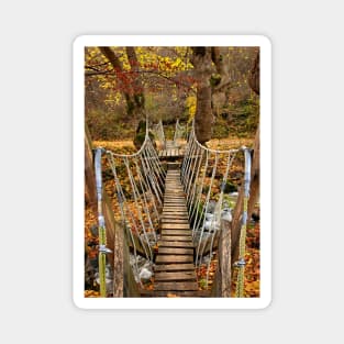 Autumnal crossing on the "Path of Love" Magnet