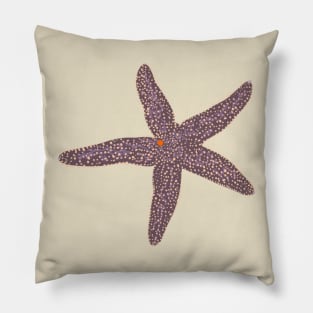 Common Starfish Pillow