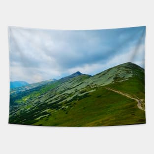 Mountain Top Tapestry