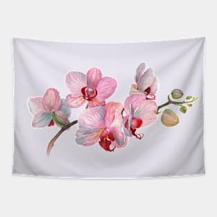 Orchid. Exclusive present. Gift for a friend. Funny art print Tapestry