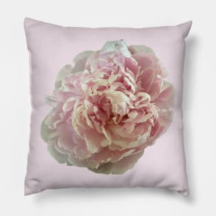 Pink Peony Pillow