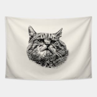 Wild cat Tapestry