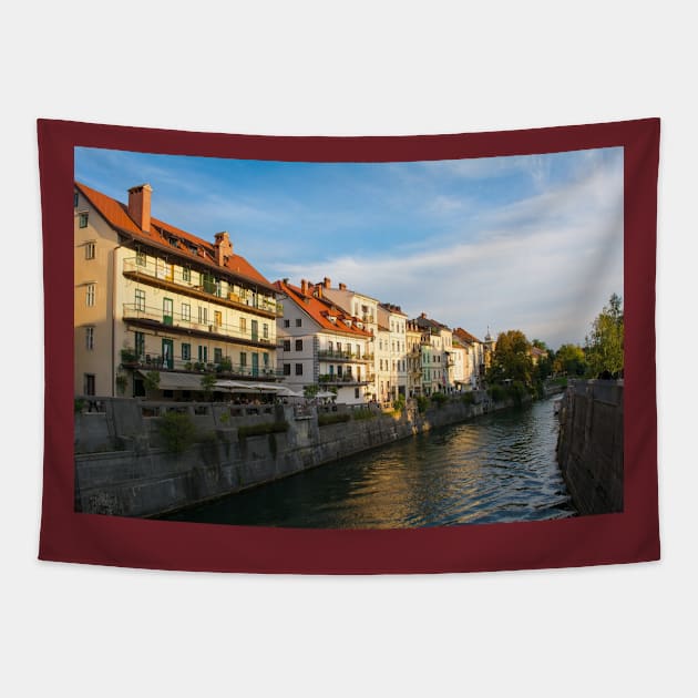 Ljubljanici River in Ljubljana, Slovenia Tapestry by jojobob