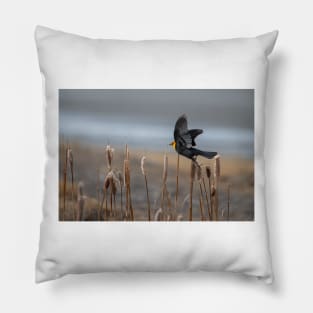 Cattail Launch Pillow