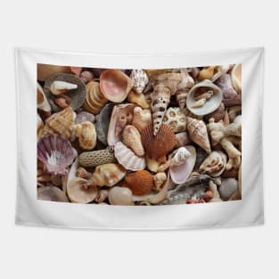 Seashells Tapestry