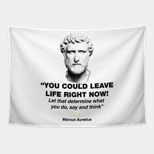 Marcus Aurelius, Chief Stoic Tapestry