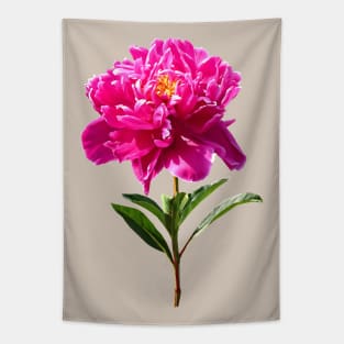 Vivid Pink Peony Tapestry