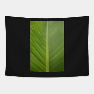 Palm Leaf Tapestry