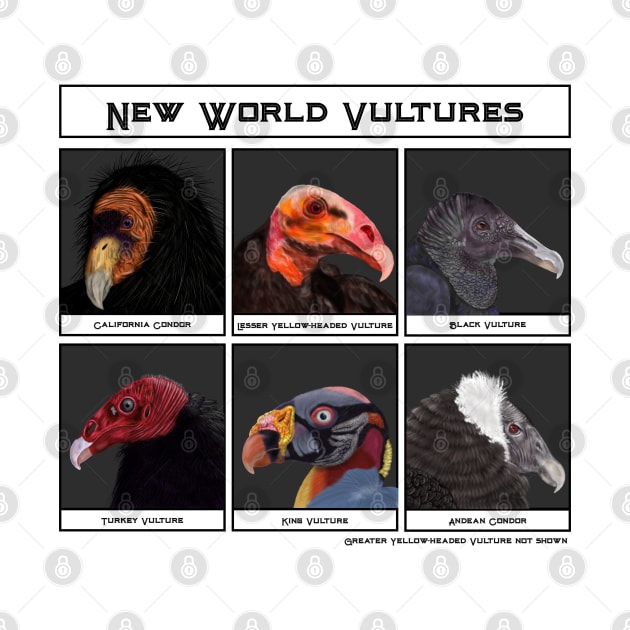 New World Vultures Illustration by H. R. Sinclair