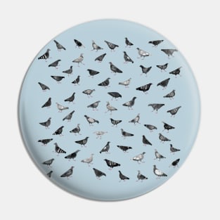 Pigeons Doing Pigeon Things Pin