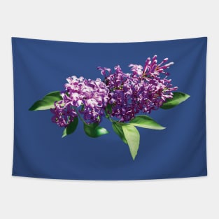 Lilacs - Lilacs in Sunshine Tapestry