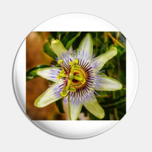 lbs passion fruit Pin