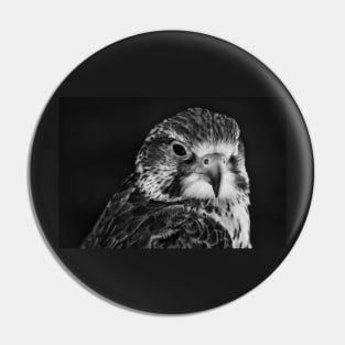 Saker Falcon Intimate Portrait Pin
