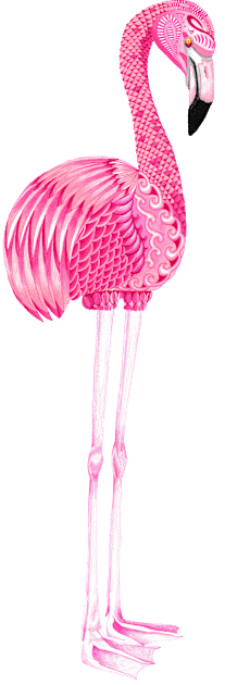 Flamingo Totem Animal Kids T-Shirt by FreeSpiritMeg