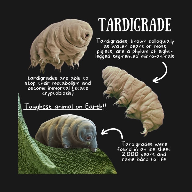 Animal Facts - Tardigrade by Animal Facts and Trivias