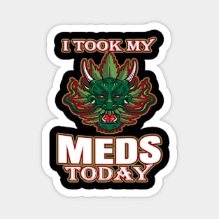 I Took My Meds Today Magnet