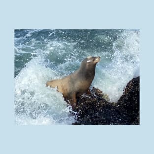 A Sea Lion's take on the "Little Mermaid" T-Shirt