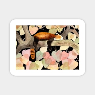 Red Panda with fall foliage at night Watercolor Illustration Magnet