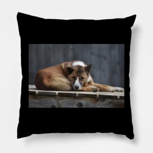 Dingo Pillow