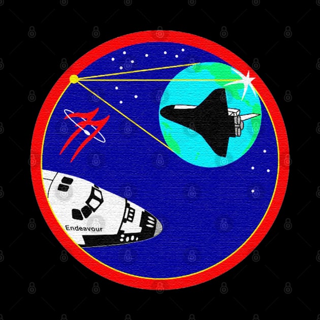 Black Panther Art - NASA Space Badge 101 by The Black Panther