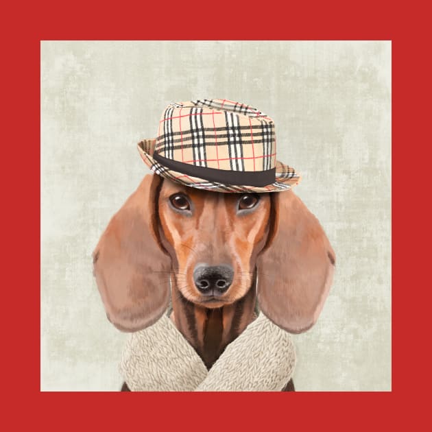 The stylish Mr. Dachshund by Sparafuori