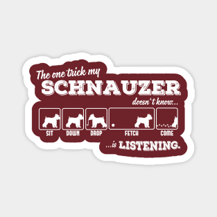 Schnauzer Magnet