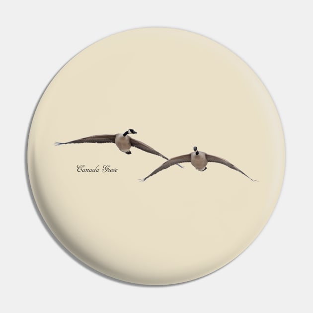 Canada Geese in Flight Pin by Whisperingpeaks