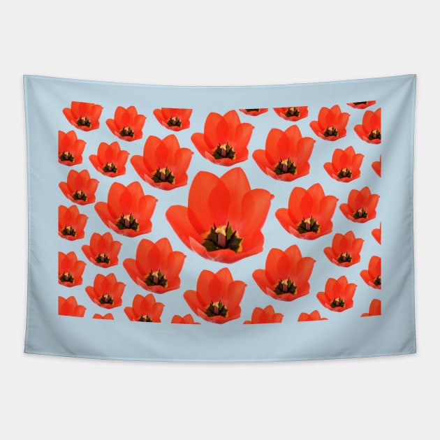 Red tulip Tapestry by chrisburrows