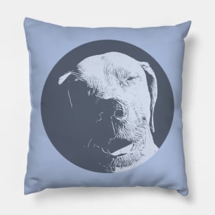 Grinning Dog Pillow