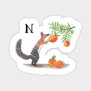 N is for Numbat Magnet