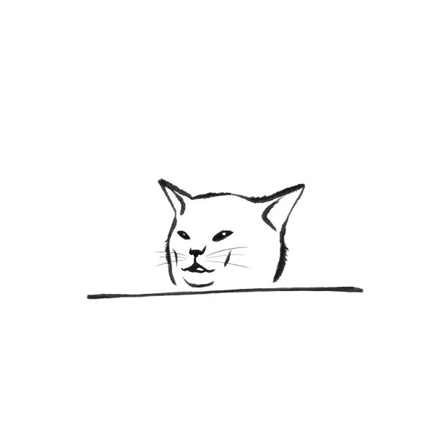 Confused Cat Meme - drawing by moonlightprint