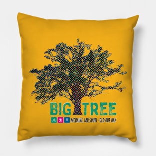 Big Tree - Bur Oak McBaine, MO Pillow