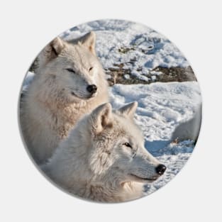 Arctic Wolves Pin